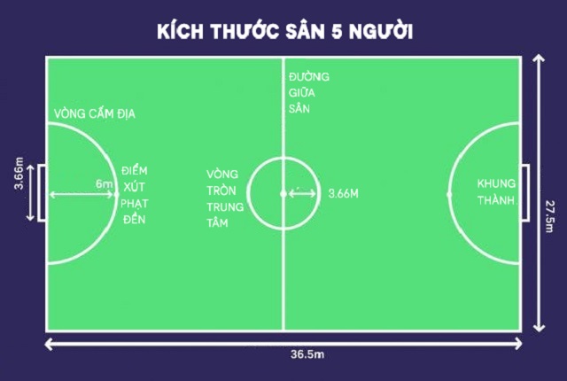 Dien-tich-va-kich-thuoc-san-bong-da-5-nguoi-theo-tieu-chuan-cua-FIFA